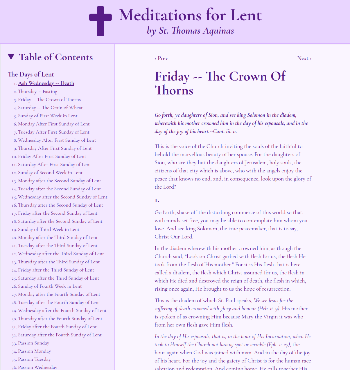 screenshot of project